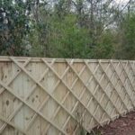 New Fence